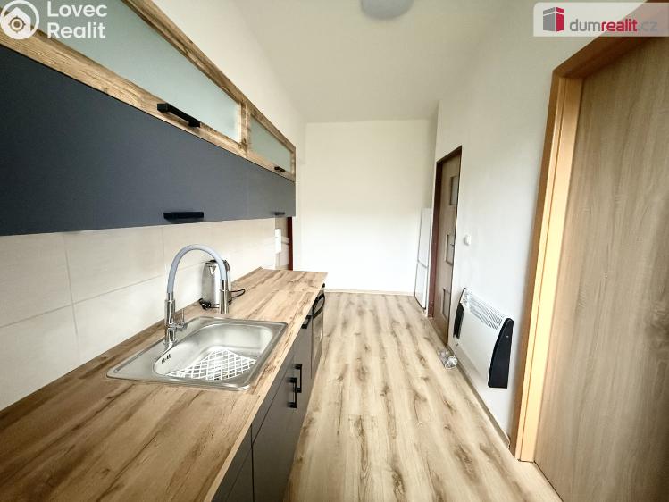Pronájem bytu 2+1 Děčín, Teplická č. 1