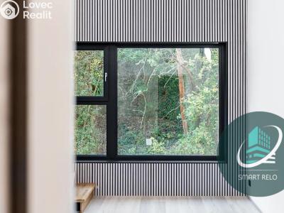 Rent apartment 2+KK Praha, Na Zlíchově č. 4