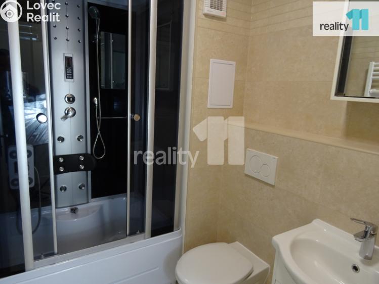 Rent apartment 1+KK Děčín, Karla Čapka č. 20