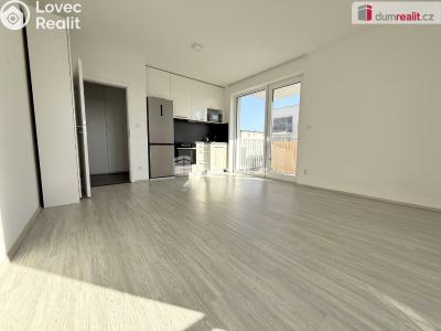 Rent apartment 1+KK Otrokovice, tř. Spojenců č. 3