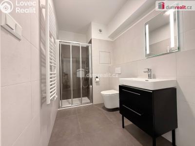 Rent apartment 1+KK Otrokovice, tř. Spojenců č. 6