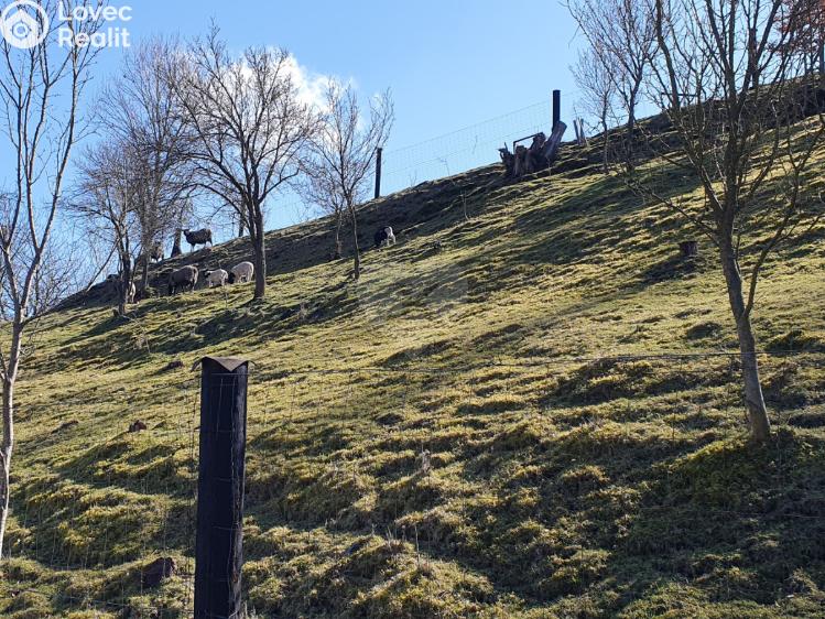 Prodej chalupy Hodkovice nad Mohelkou, Česká č. 27