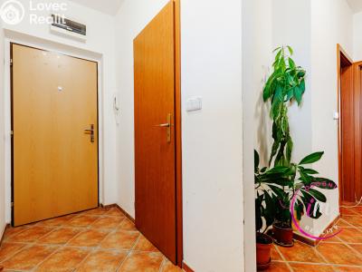 Prodej bytu 2+1 Jihlava, Chlumova č. 4