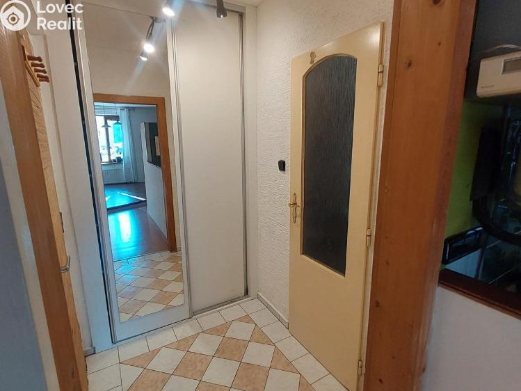 Pronájem bytu 1+KK Plzeň, Guldenerova č. 8