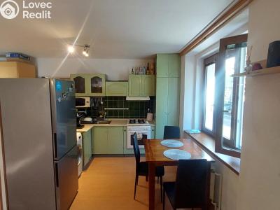 Rent apartment 1+KK Plzeň, Guldenerova č. 4