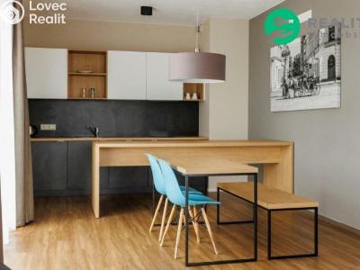 Аренда квартиры 2+KK Plzeň, Pallova č. 1