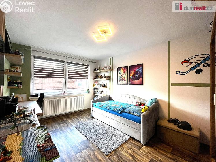 Prodej rodinného domu Cheb č. 17