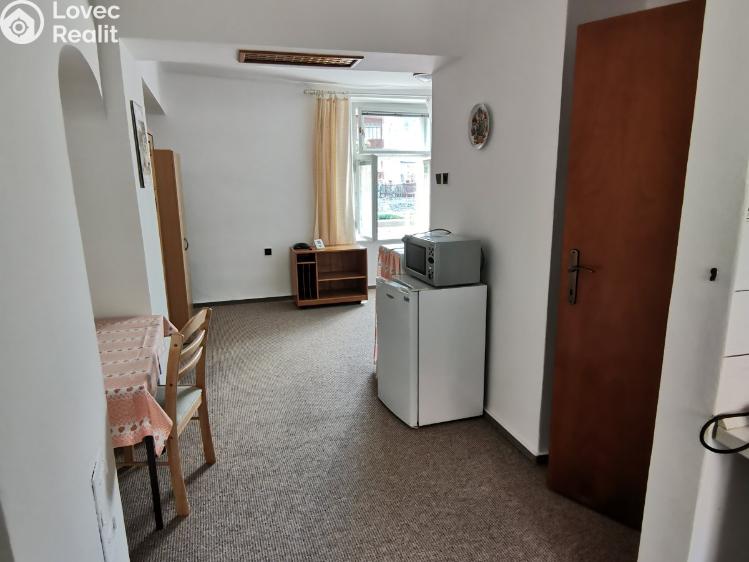 Pronájem bytu 1+KK Sušice, Mariánská 10 č. 15