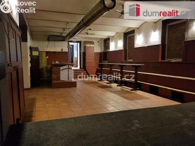 Rent commercial properties České Budějovice, U Tří lvů č. 6