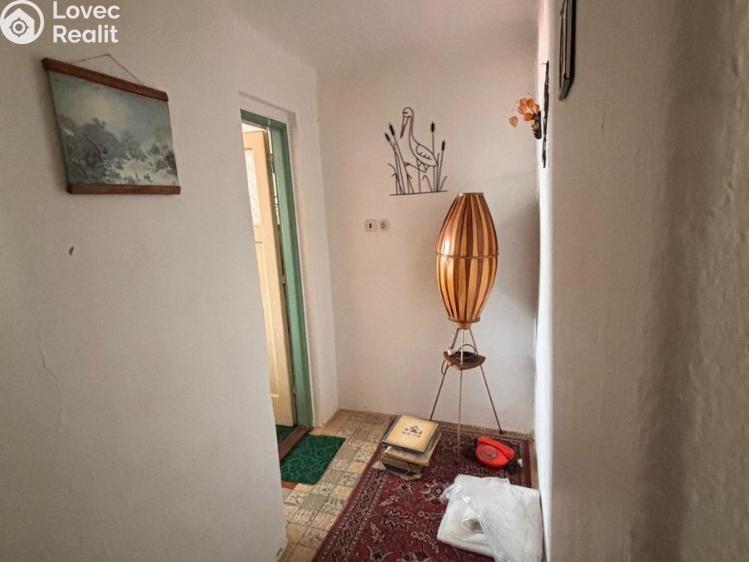 Prodej rodinného domu Plasy, K Letišti č. 18