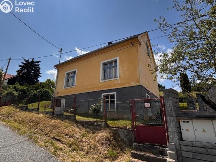 Prodej rodinného domu Plasy, K Letišti č. 2