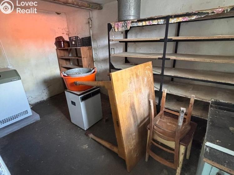 Prodej rodinného domu Plasy, K Letišti č. 25