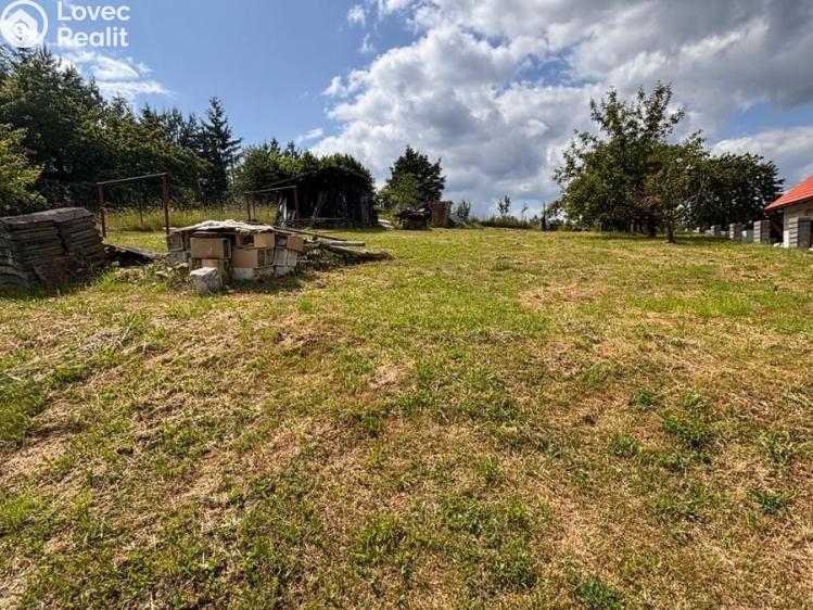 Prodej rodinného domu Plasy, K Letišti č. 28