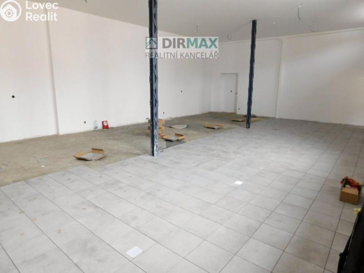 Pronájem skladového prostoru Plzeň, Ostrovní 15/5 č. 17