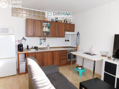 Rent apartment 1+1 Plzeň, Malesická č. 1