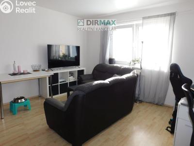 Rent apartment 1+1 Plzeň, Malesická č. 2