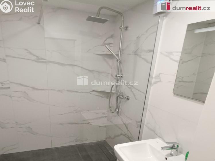 Pronájem bytu 2+1 Benešov nad Ploučnicí, Sídliště č. 15