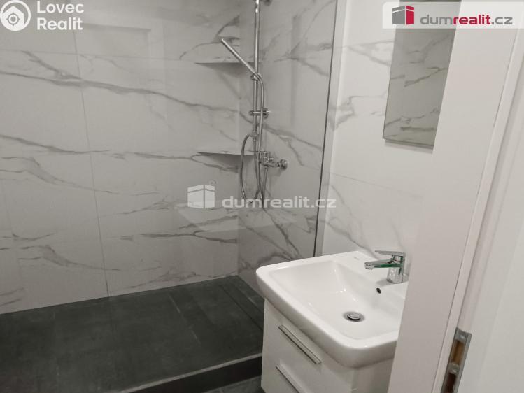 Pronájem bytu 2+1 Benešov nad Ploučnicí, Sídliště č. 17