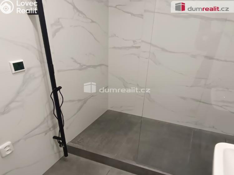 Pronájem bytu 2+1 Benešov nad Ploučnicí, Sídliště č. 18