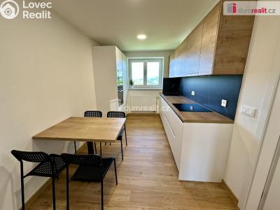 Pronájem bytu 2+1 Zlín, Kamenná č. 6