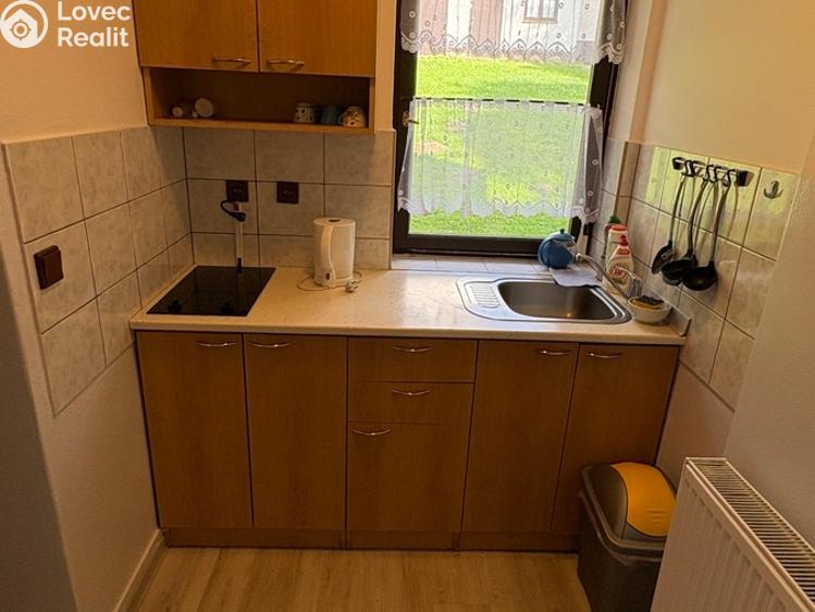 Prodej ubytovacího zařízení Prášily č. 19