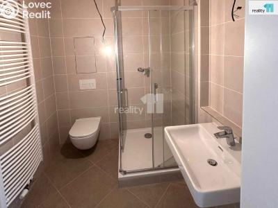 Sale apartment 1+KK Kralupy nad Vltavou, Nádražní č. 4
