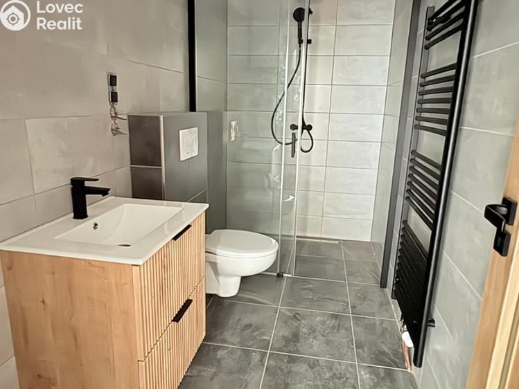 Продажа квартиры 2+KK Dlouhá Ves č. 24