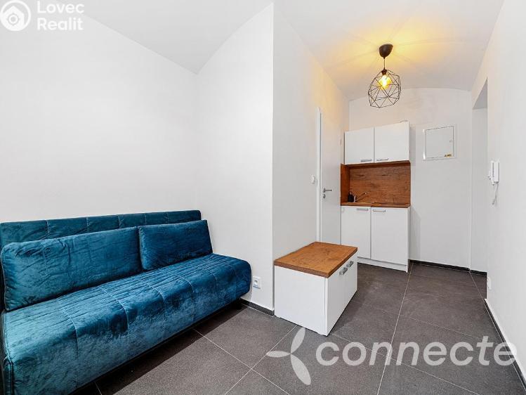 Prodej bytu 1+KK Praha, Hejtmánkova 863/4 č. 14