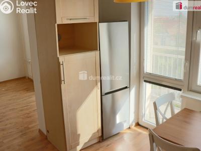Rent apartment 2+1 Břeclav, U Jánského dvora č. 4