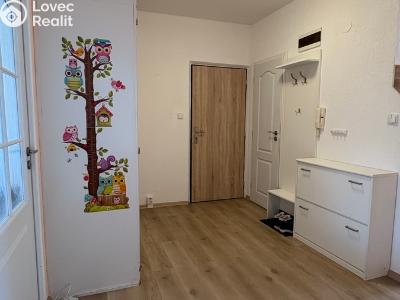 Pronájem bytu 2+1 Sušice, Sirkařská 983 č. 6