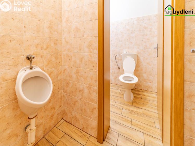 Prodej ubytovacího zařízení Konstantinovy Lázně, Krátká č. 19