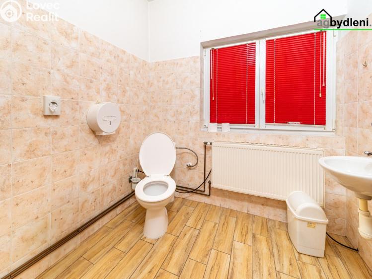 Prodej ubytovacího zařízení Konstantinovy Lázně, Krátká č. 20