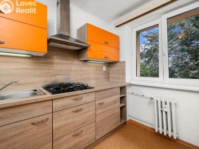 Sale apartment 2+1 České Budějovice, Pražská tř. č. 1