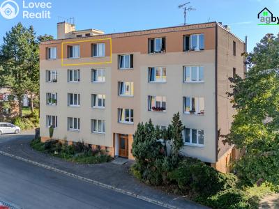 Prodej bytu 1+1 Klatovy, K Letišti 848 č. 1