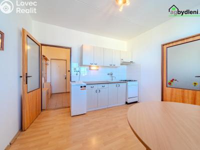Prodej bytu 1+1 Klatovy, K Letišti 848 č. 4