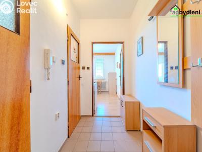 Prodej bytu 1+1 Klatovy, K Letišti 848 č. 5