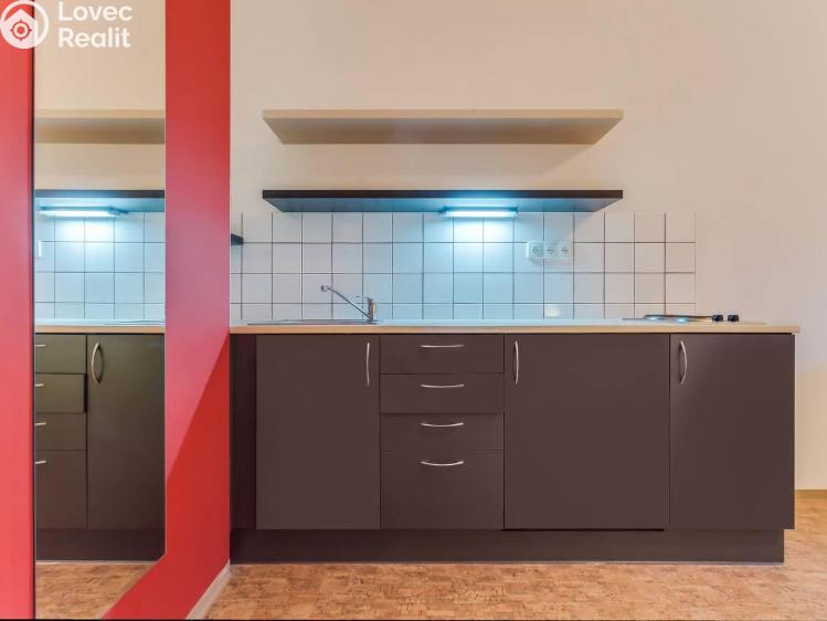 Pronájem apartmánů Praha, Křížová č. 3