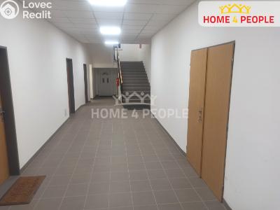 Pronájem obchodního prostoru Město Touškov, Čemínská č. 6