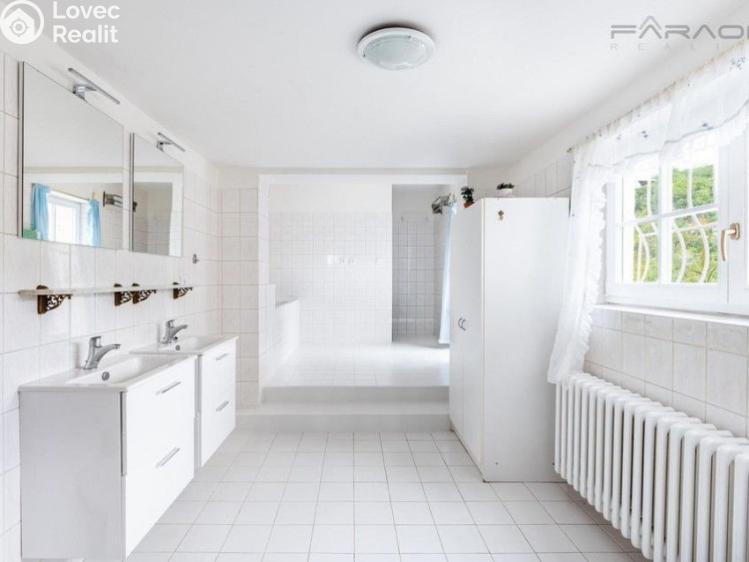 Pronájem vily Černošice č. 10