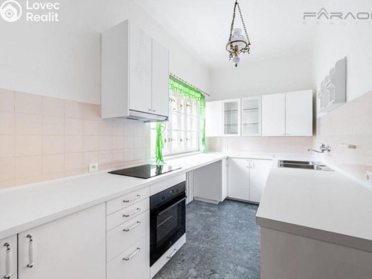 Pronájem vily Černošice č. 8