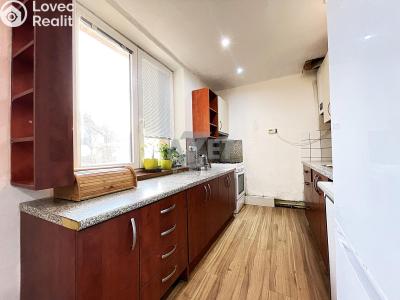 Sale apartment 3+1 Otice, Hlavní č. 3