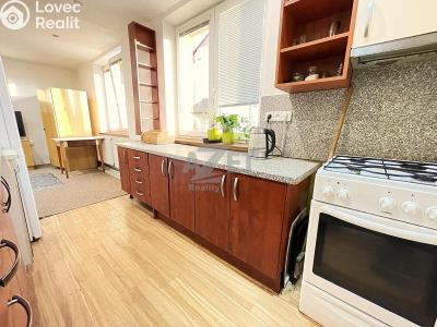 Sale apartment 3+1 Otice, Hlavní č. 4