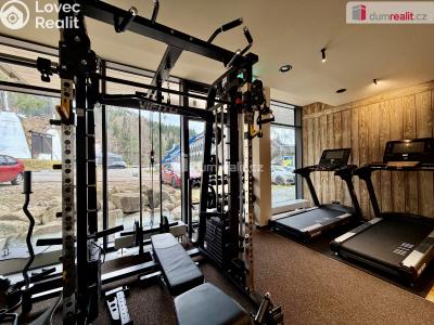 Sale apartment 1+KK Harrachov č. 45