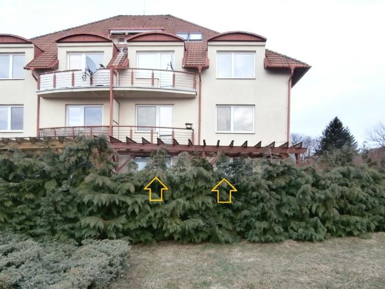 Pronájem bytu 2+1 Zlín, Žlutá 466 č. 4