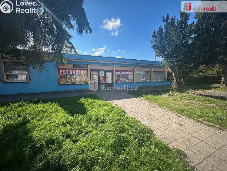 Pronájem obchodního prostoru Kolín, Třídvorská č. 4