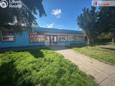 Rent commercial space Kolín, Třídvorská č. 4