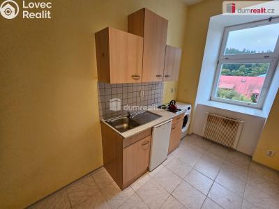 Оренда квартири 2+KK Mariánské Lázně, Úzká č. 3