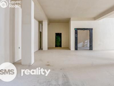 Rent commercial space Karviná, Borovského č. 7
