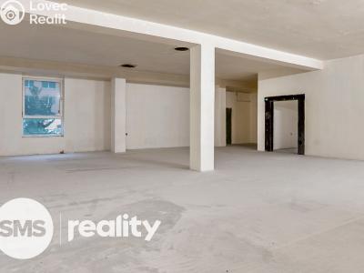 Rent commercial space Karviná, Borovského č. 8