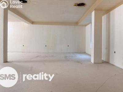Rent commercial space Karviná, Borovského č. 10